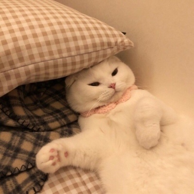 阿里健康推出AI产品“氢离子”