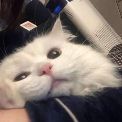 涉贪腐被带走、败光20亿