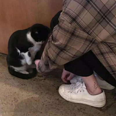 首发天玑9500s 搭9000mAh大电池